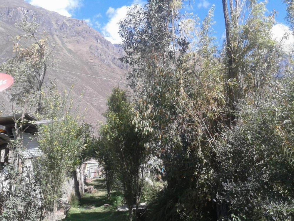 Casa Quechua Hostel Camping Image 21