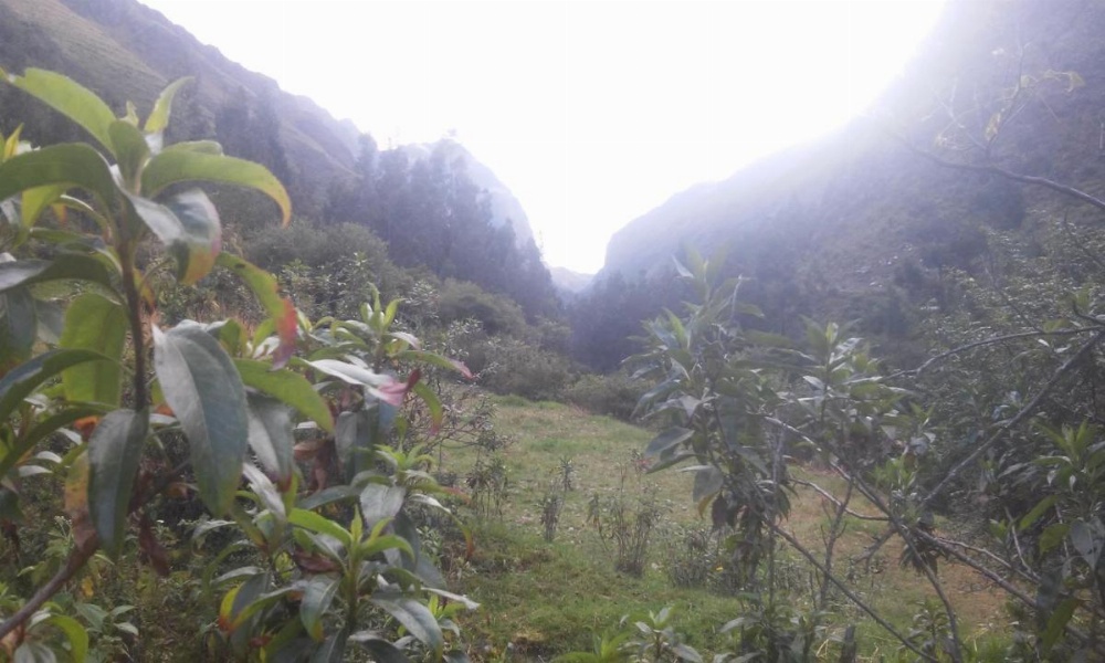 Casa Quechua Hostel Camping Image 26